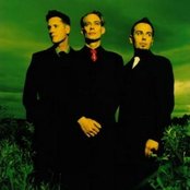 Covenant - List pictures