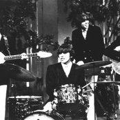 The Standells - List pictures
