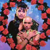 Urban Cookie Collective - List pictures