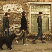 Bravery - List pictures