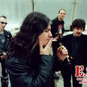 E.s.t. - List pictures