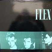 Flex - List pictures