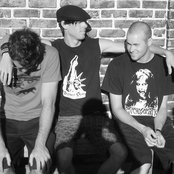 Cobra Skulls - List pictures