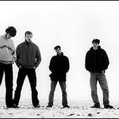 The Coral - List pictures