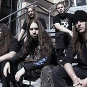 Dew-scented - List pictures