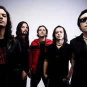 Viper - List pictures