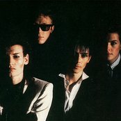 Bauhaus - List pictures