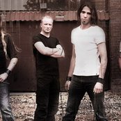 Old Dead Tree - List pictures