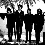 Singapore Sling - List pictures