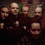 Blood - List pictures