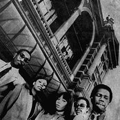 Chic - List pictures