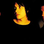 Calla - List pictures