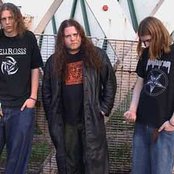 Moss - List pictures