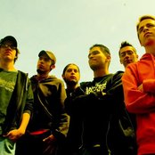 Free To Decide - List pictures