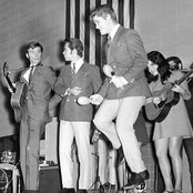 The Sandpipers - List pictures