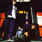 Shed Seven - List pictures