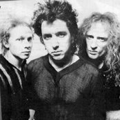 The Professionals - List pictures