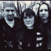 The Shivers - List pictures