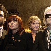 The Divinyls - List pictures