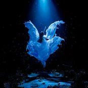 Aimer - List pictures