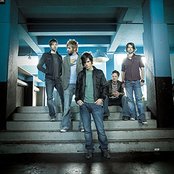 Lovebugs - List pictures