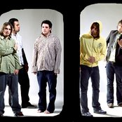 Finch - List pictures