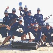 Aquabats - List pictures