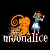 Moonalice - List pictures