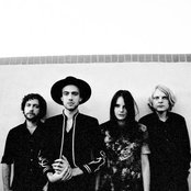 The Veils - List pictures