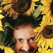 Tom Zé - List pictures