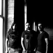 Mandragore - List pictures