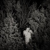 Promise And The Monster - List pictures