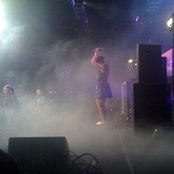 Bertie Blackman - List pictures