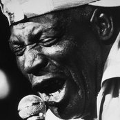 Howlin' Wolf - List pictures