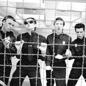 Crime - List pictures