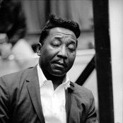 Muddy Waters - List pictures