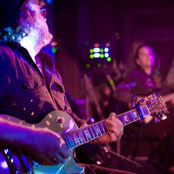 Hammock - List pictures