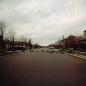 So Much Light - List pictures