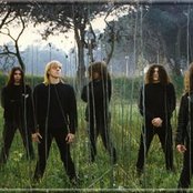 Desire - List pictures