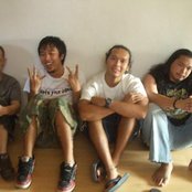 Greyhoundz - List pictures