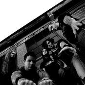 The Autumn Offering - List pictures