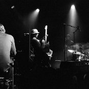 Fruit Bats - List pictures