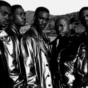 Silk - List pictures