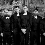 The Dogs - List pictures