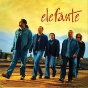 Elefante - List pictures