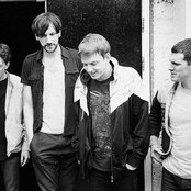 Wild Palms - List pictures