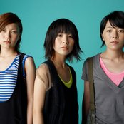 Chat Monchy - List pictures