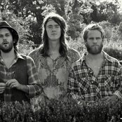 Jonezetta - List pictures