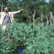 Gentleman - List pictures