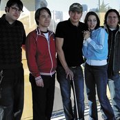 Loquat - List pictures